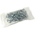 The Brush Man Replacement Spike Set For #Shoe-3/4, 10PK SHOE-3/4-REPL